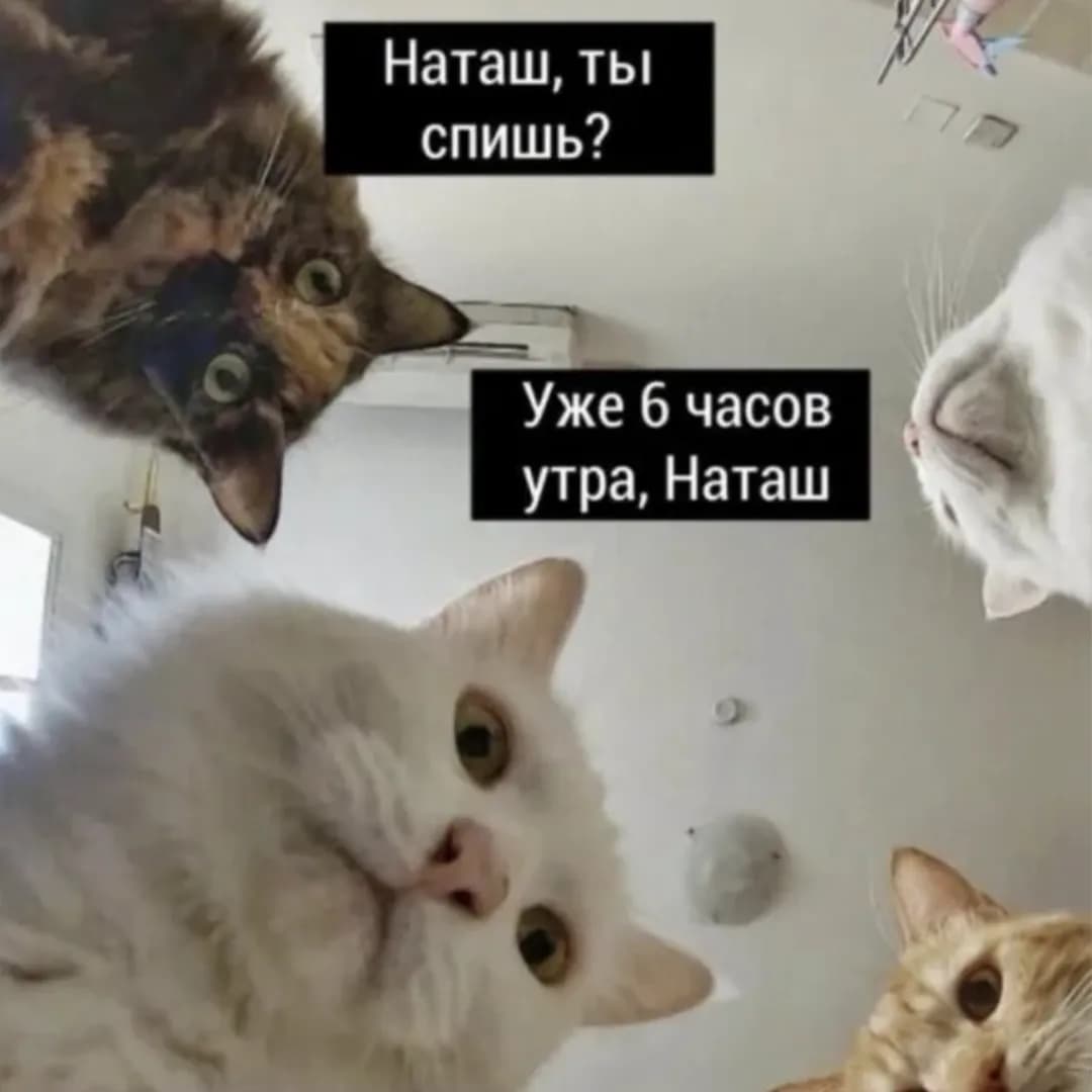 Артисты, которые умело превратили мемы в творчество