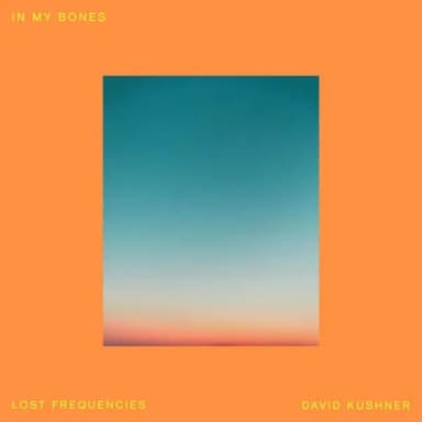 Lost Frequencies