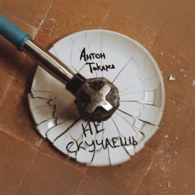 Антон Токарев